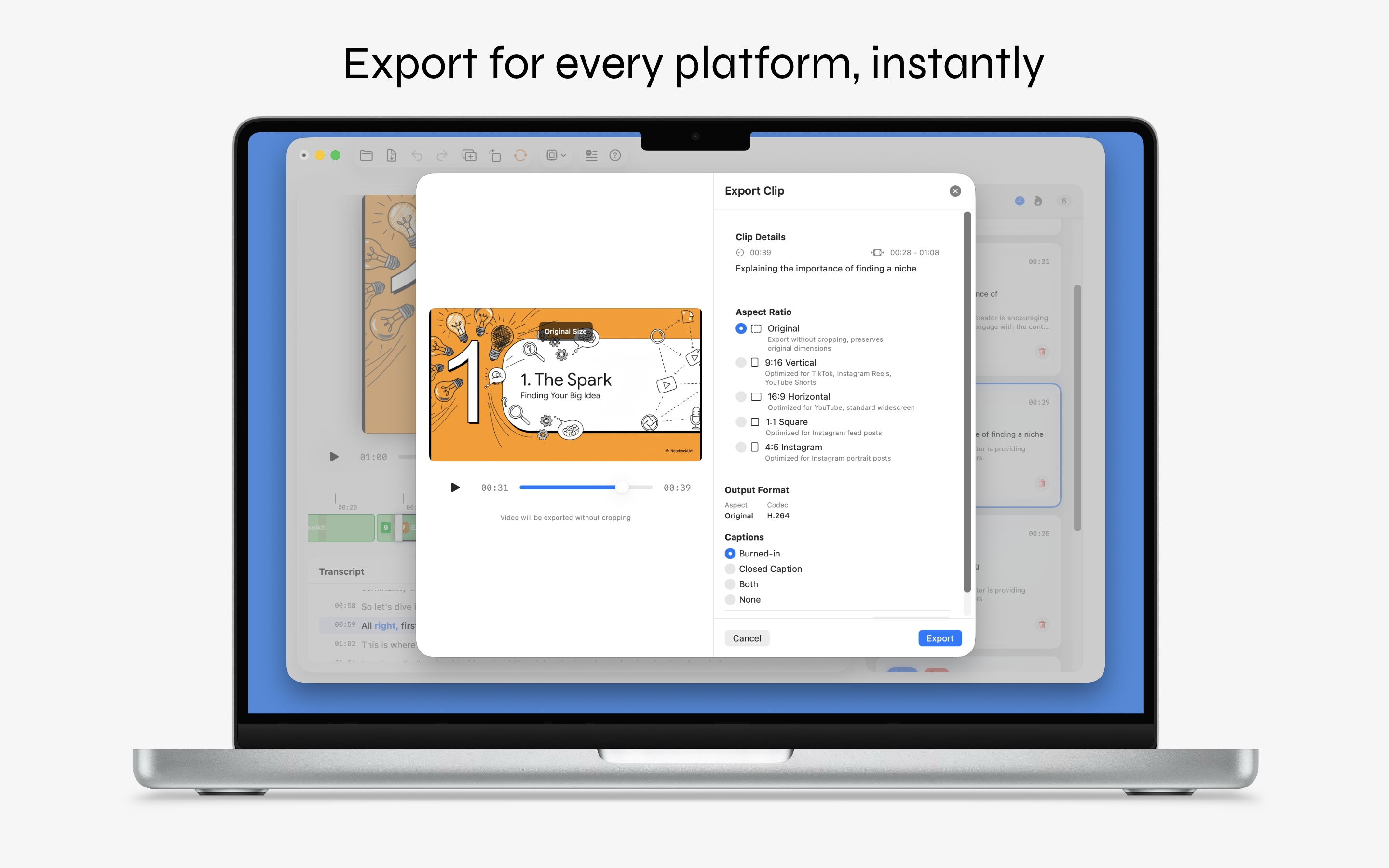 LocalSnip export dialog with aspect ratio options for vertical, horizontal, and square formats